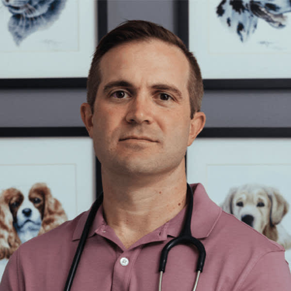 Dr. Craig Schluterman, Little Rock Veterinarian & Medical Director