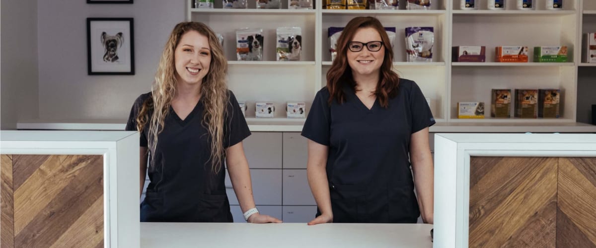 Welcome to Bowman Road Animal Clinic